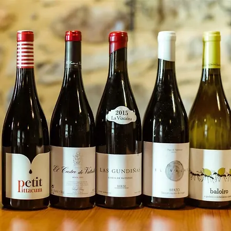 El Tiempo Recobrado - De Relax En El Bierzo