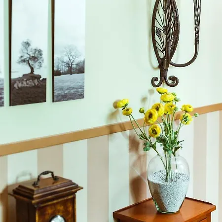 El Tiempo Recobrado - De Relax En El Bierzo